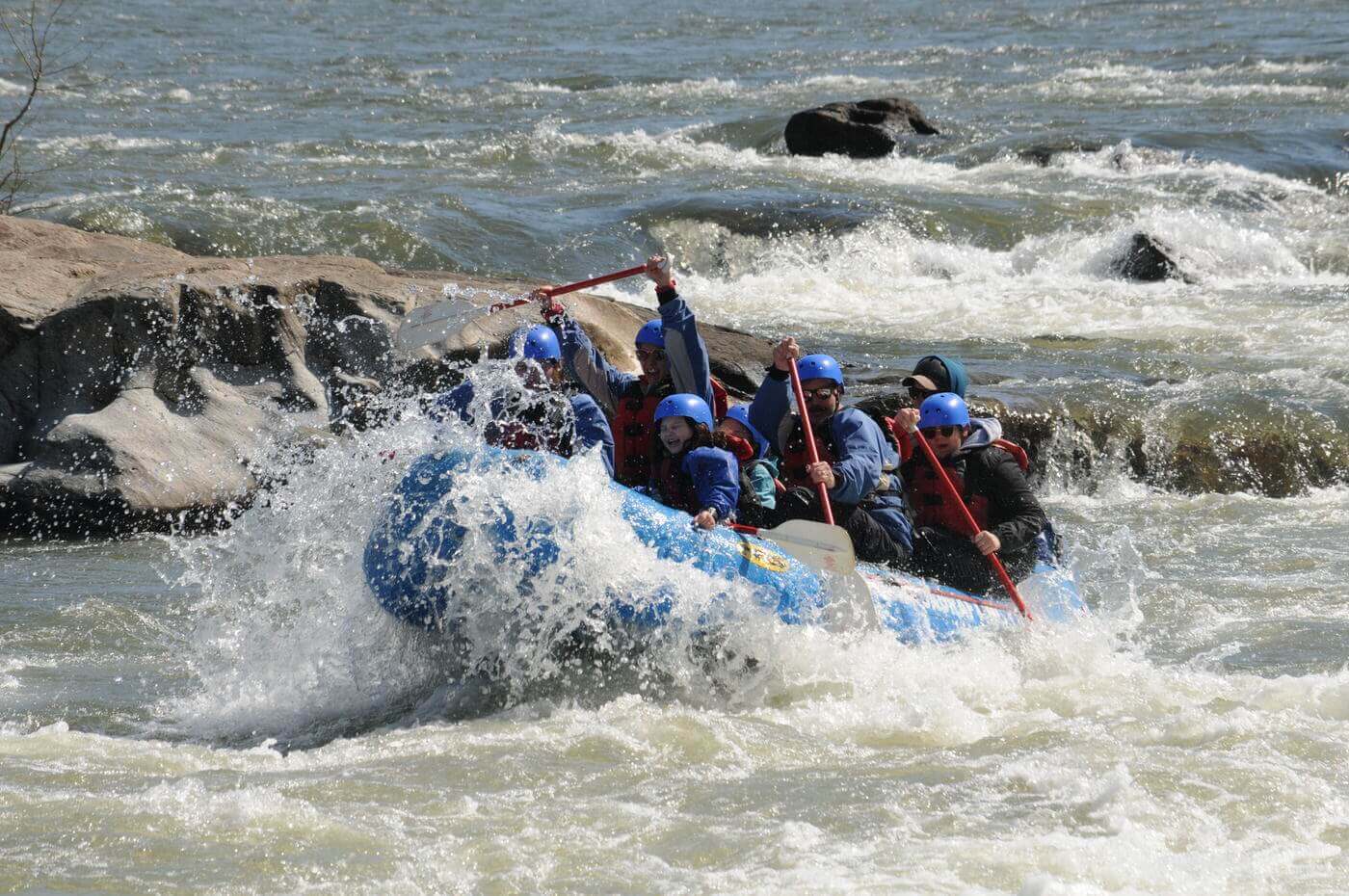 Rafters paddling through splashing whitewater rapids and rocks on the French Broad River